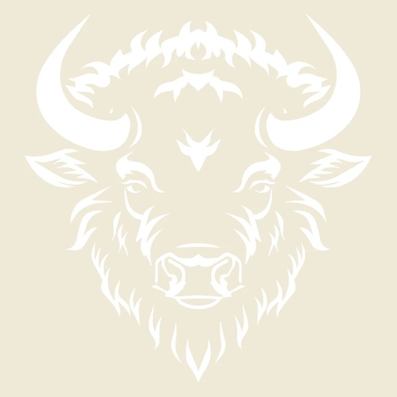 Bison Büffel