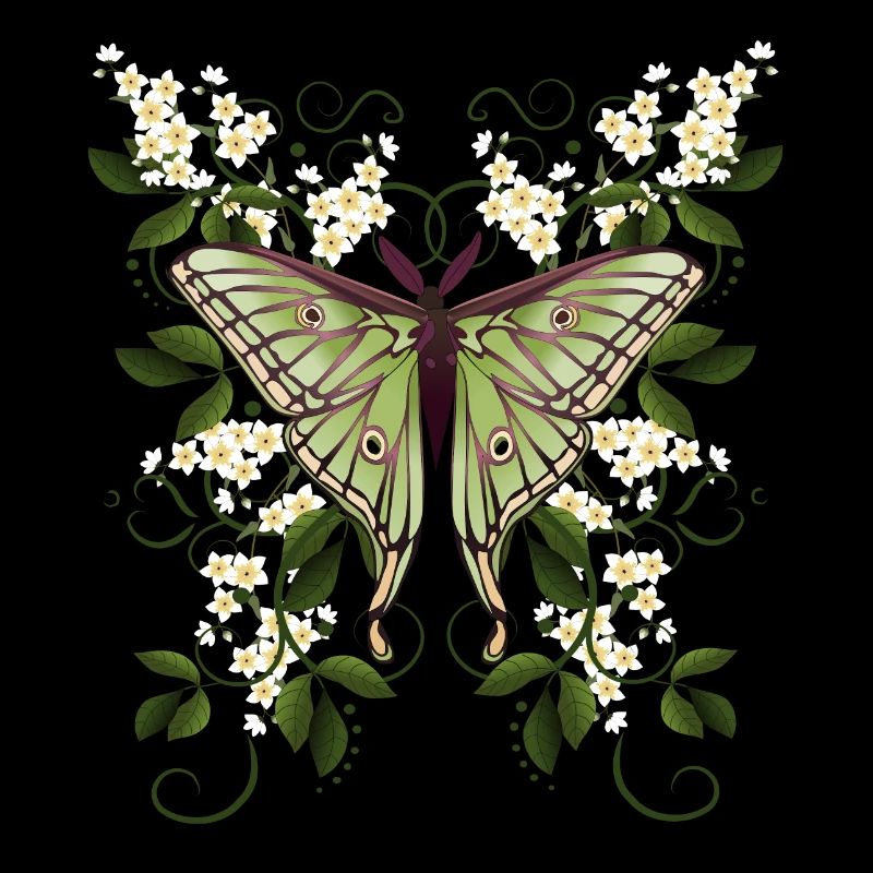 Butterfly Moth Butterfly