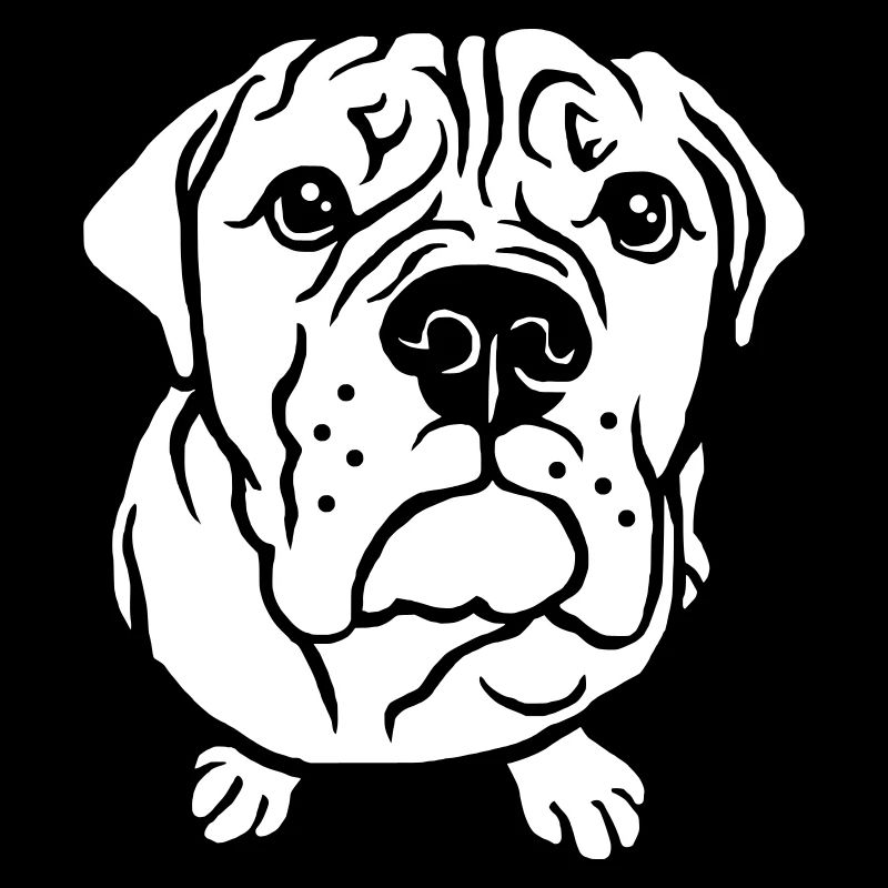 Bulldog bettelnd