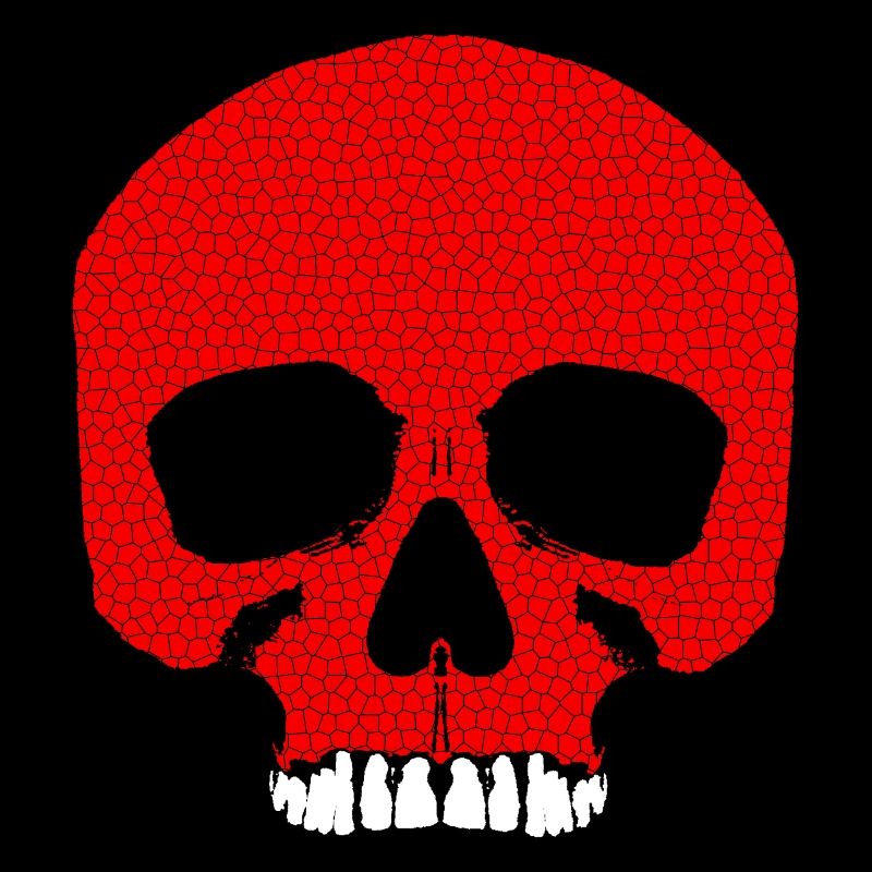 Red Skull with Crack Pattern / Skull
