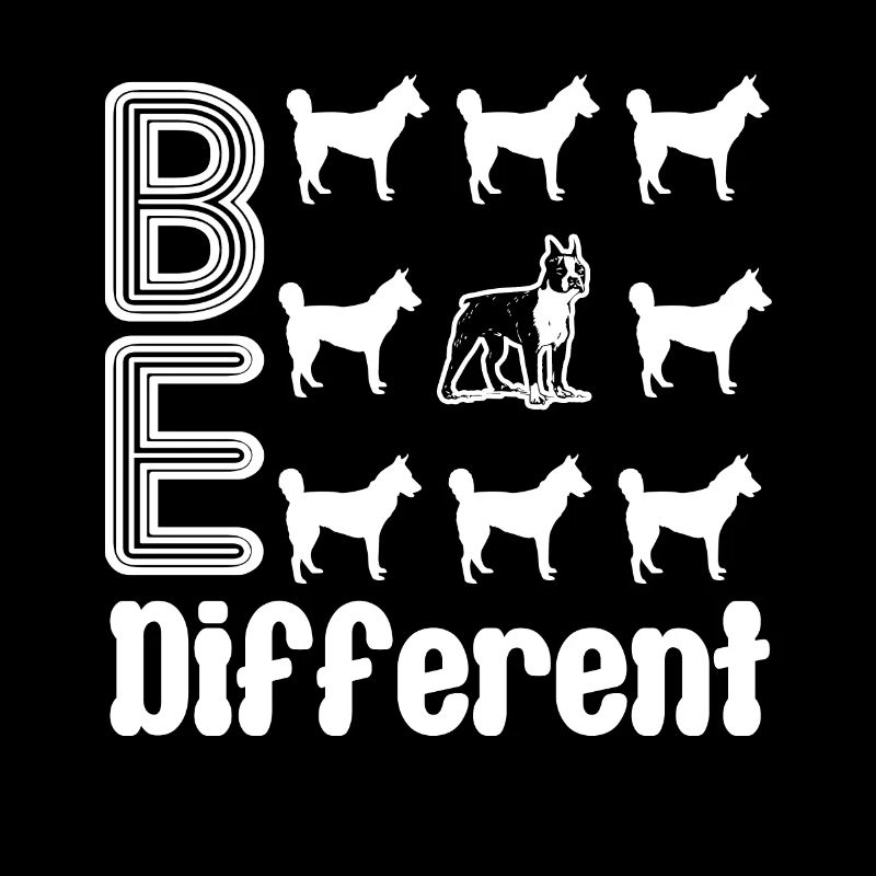 Boston Terrier Boston Terrier Be Different