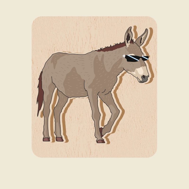 Donkey donkey owner donkey lover donkey gift
