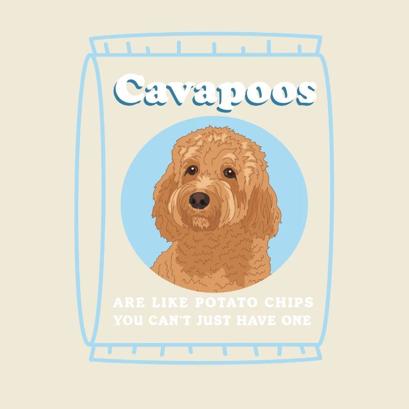 Chien Cavapoo | Cadeau du propriétaire de chien Cavoodle