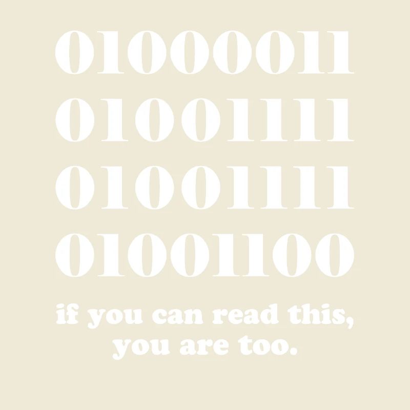 Computer binary code developers gift