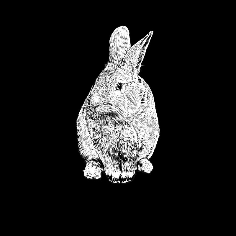Black and White Drawing - Rabbit