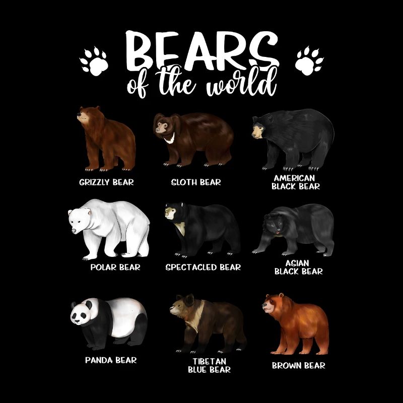 Ours - Ours du monde