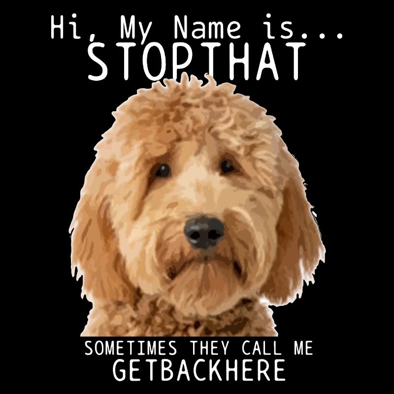 Goldendoodle Hund Lustig Geschenk