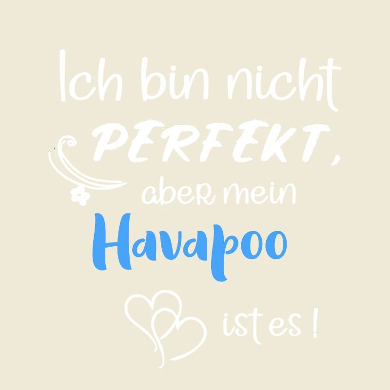 Perfekter Havapoo I Havaneser Pudel Mix