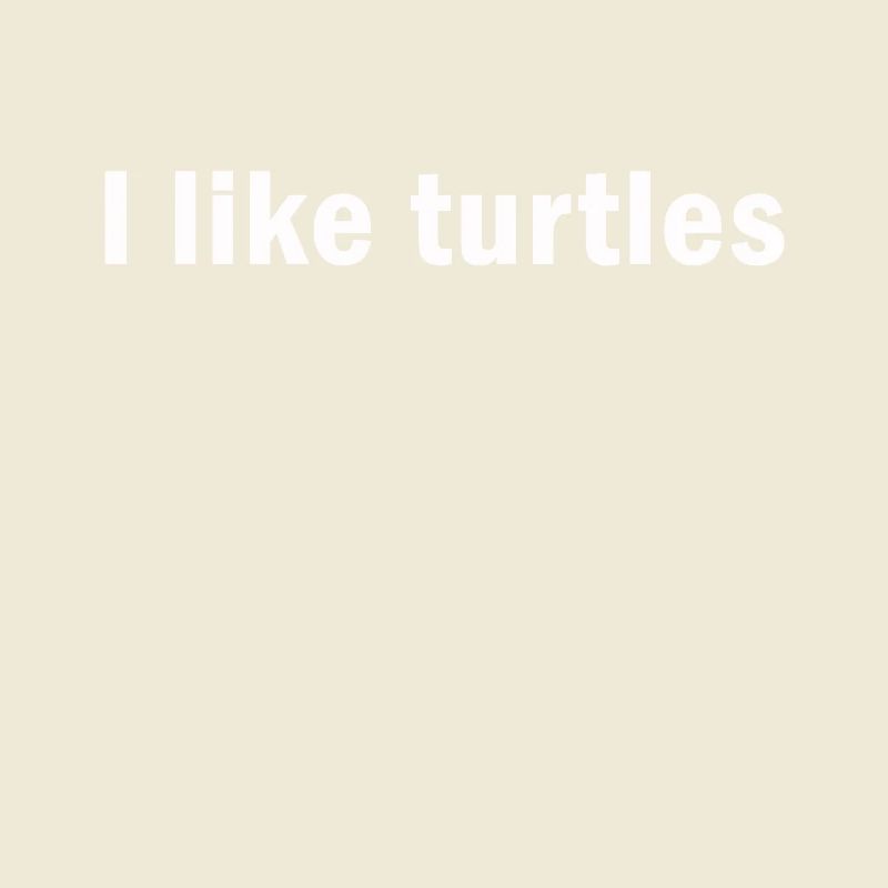 I Like Turtles Turtle