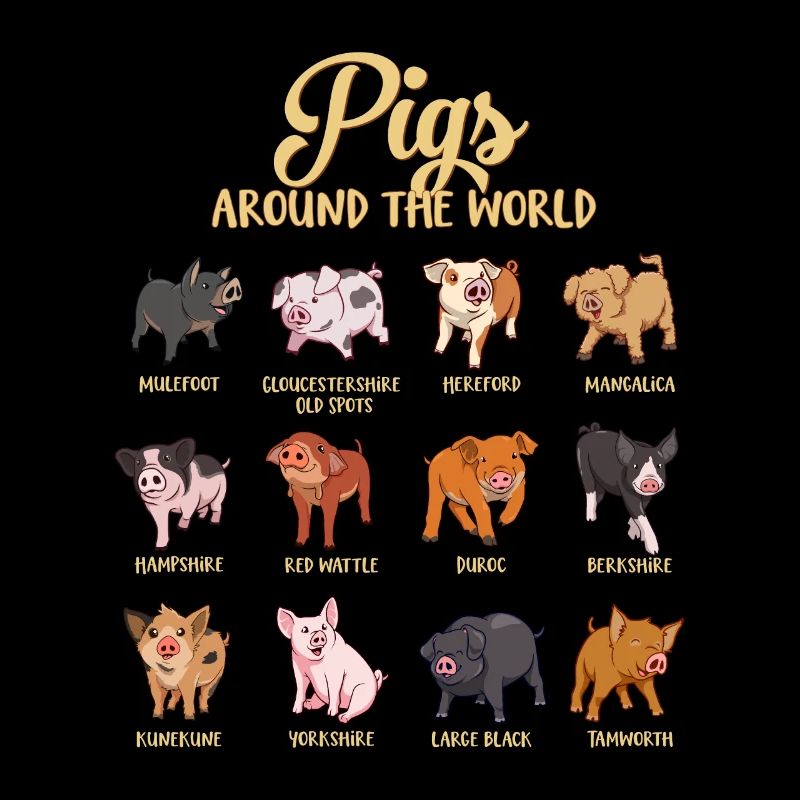 Verschiedene Cartoon Schweine