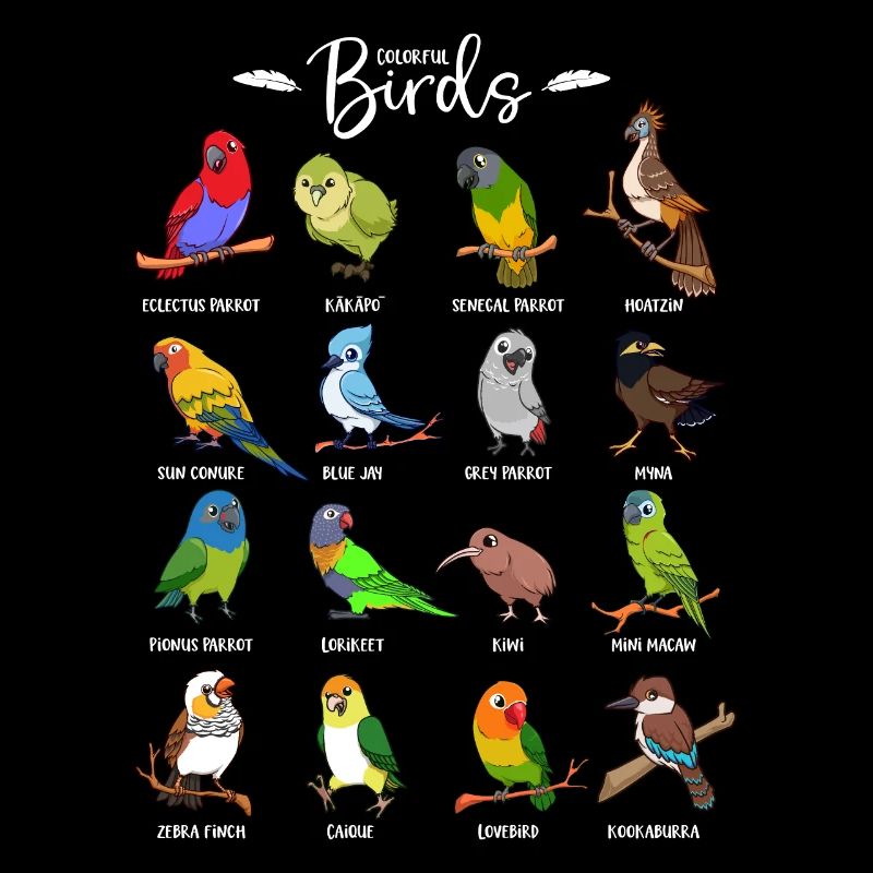 Beaucoup d’oiseaux colorés