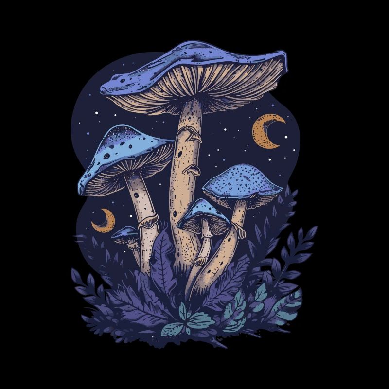 Cottagecore Goblincore Champignon Phases de Lune Fairycore