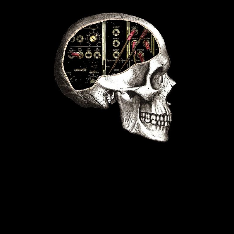 Teschio Modulare Analogico per Synth Nerd