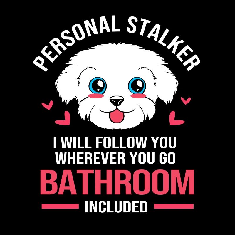 Maltese Dog