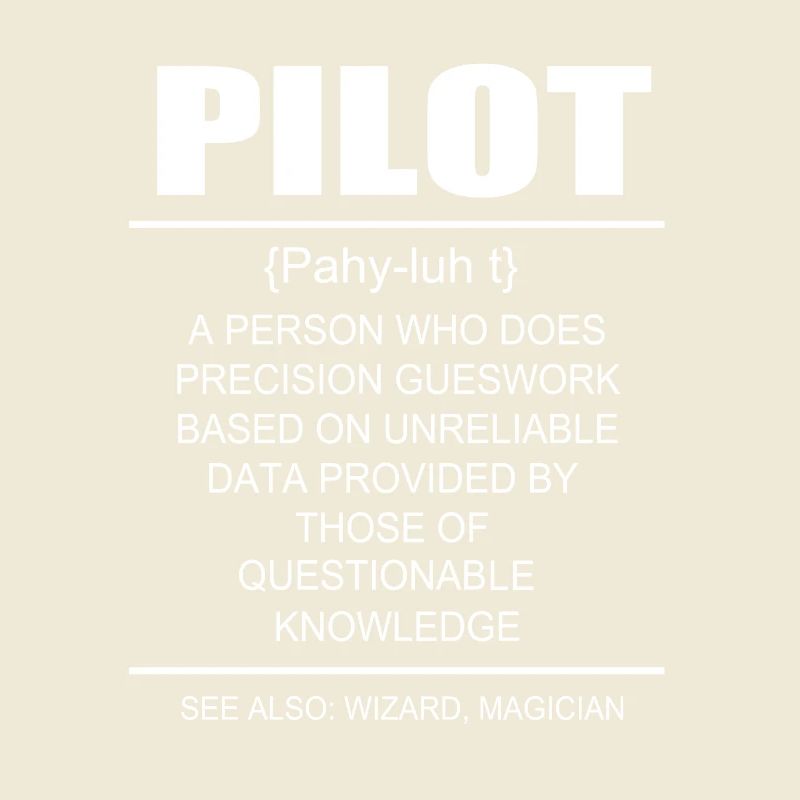 Pilot Flugzeug