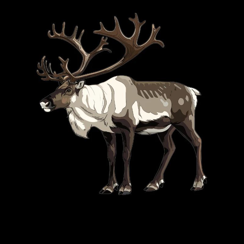 Caribou Karibus Karibu
