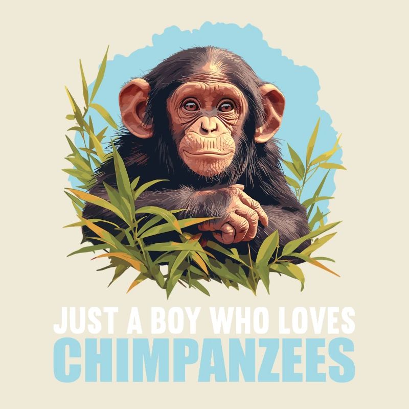 Chimpanzé Schimpansen Schimpanse