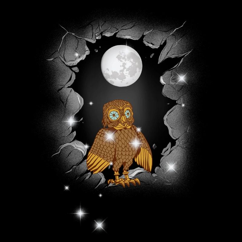 Owl Owls Moon