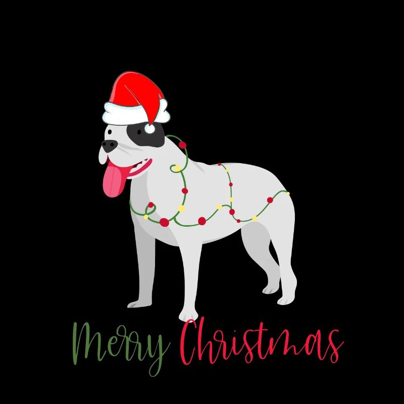 Bouledogue américain, Bully, Noël, Noël