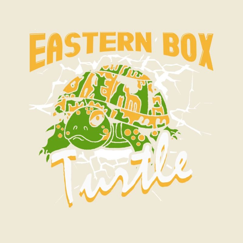 Eastern Box Turtle On Black