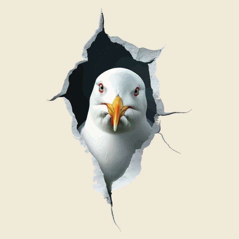Möwe