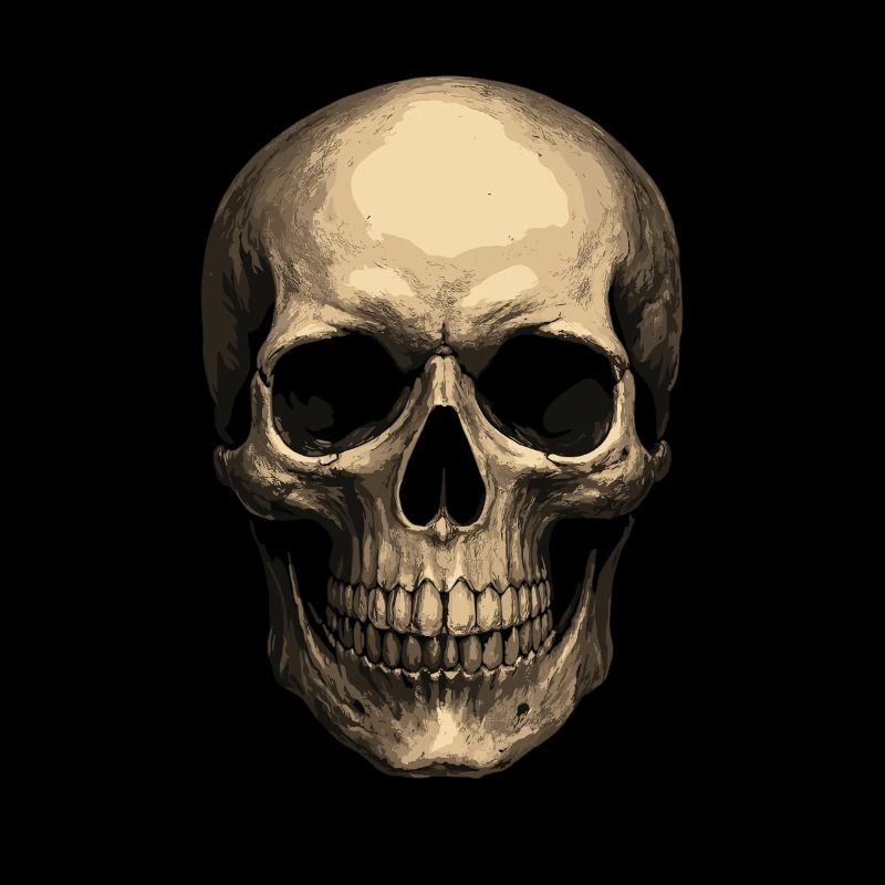 Realistic Skull – Skull Art