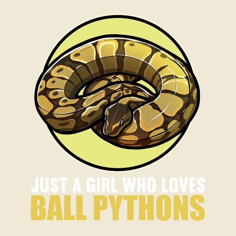 Ball Python King Python King Python
