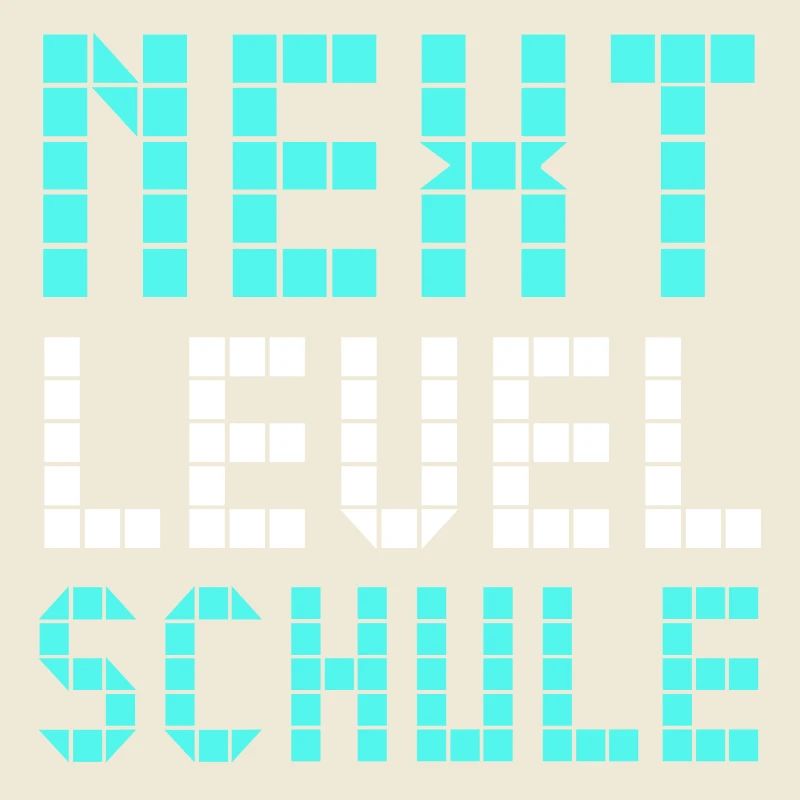Next Level Schule