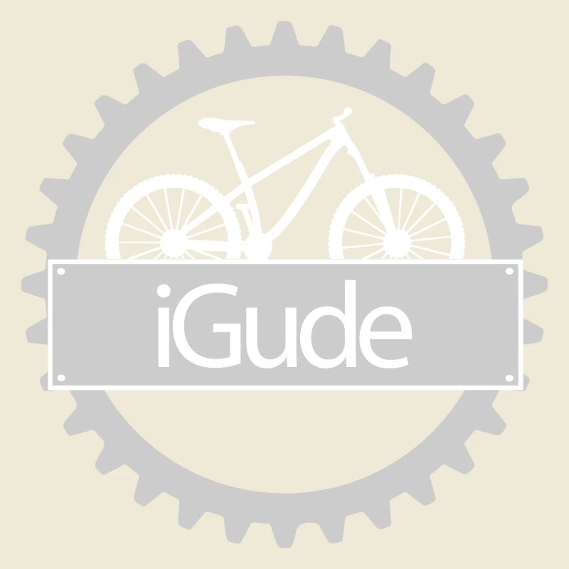 iGude Zahnrad MTB hell