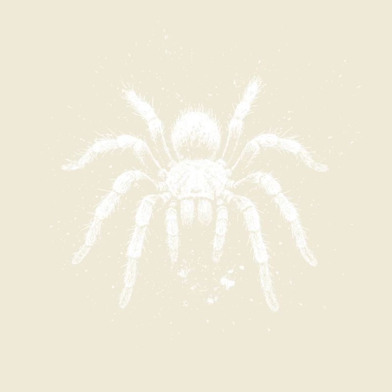 Tarantula