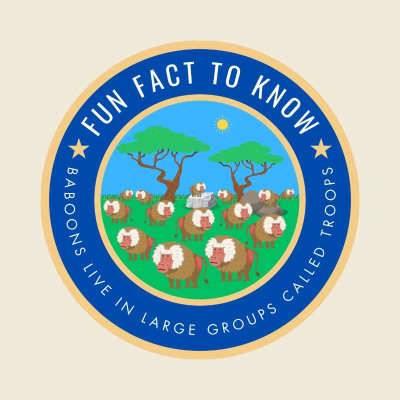 Baboons live in large groups called troops
