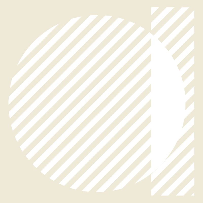 Geometric Stripe Circles Monochrome Pattern