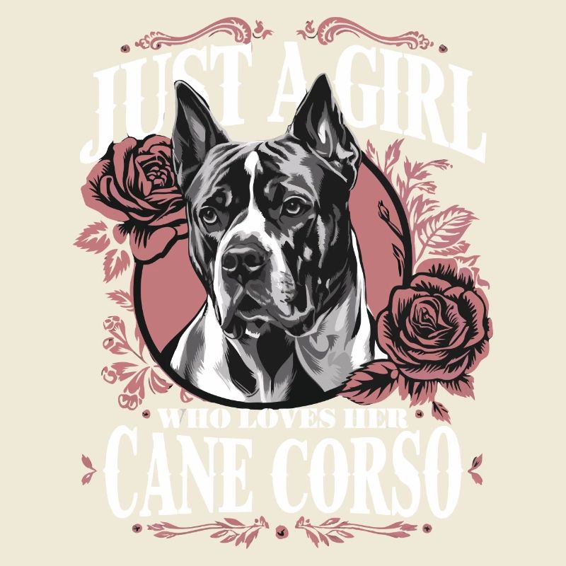 Cane Corso Chien