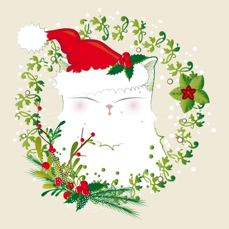 Chat de noel