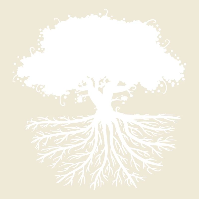 tree roots white
