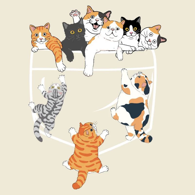 Süße Katzen klettern - originelle Geschenkidee
