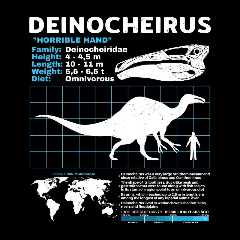 Deinocheirus Fact Sheet