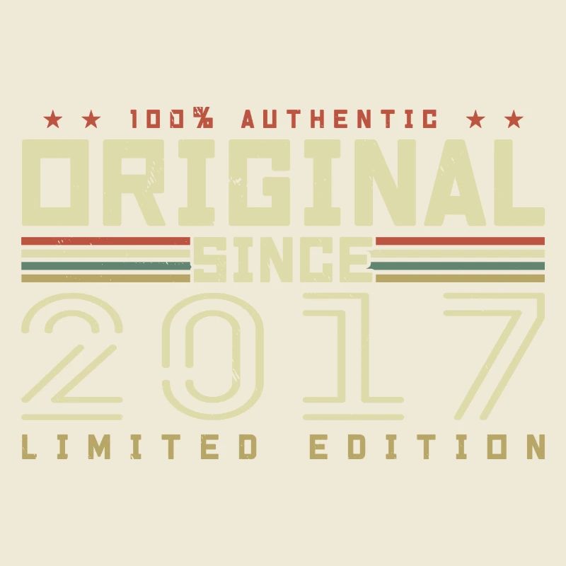 Original 2017 Geburtstagsgeschenk 2017 Retro 2017