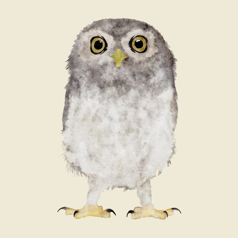 Hibou