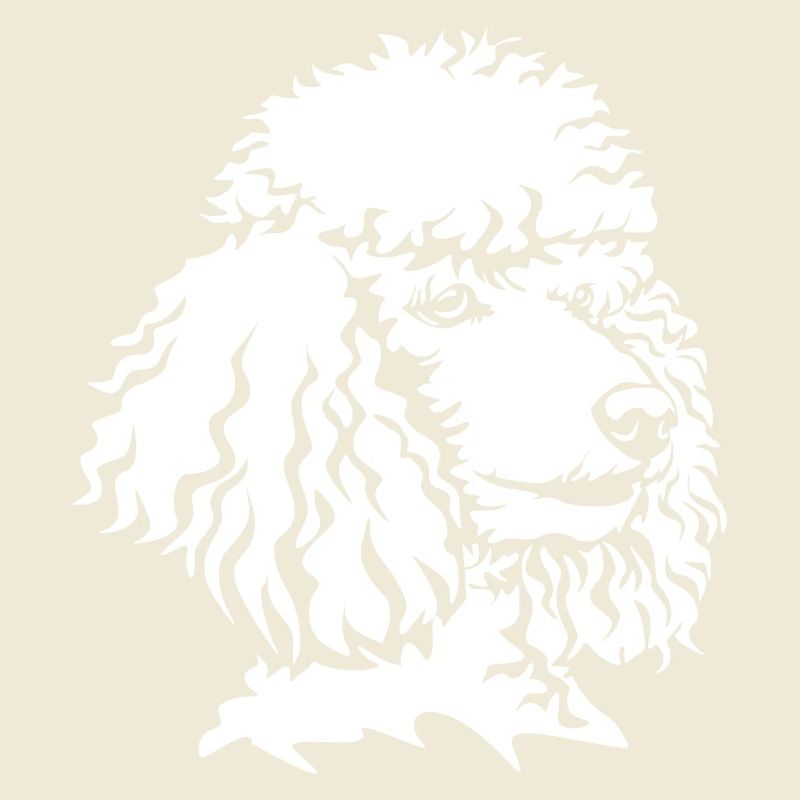 Tête de caniche « Black Edition »