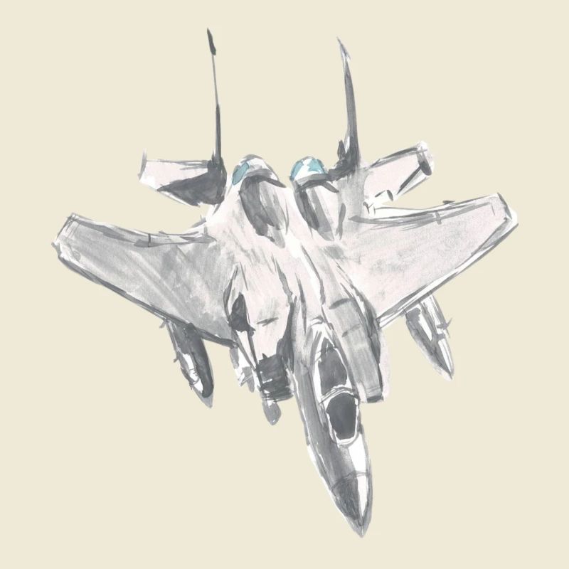 F15-Jagdflugzeugpilot-Luftfahrtshirt-Geschenkidee