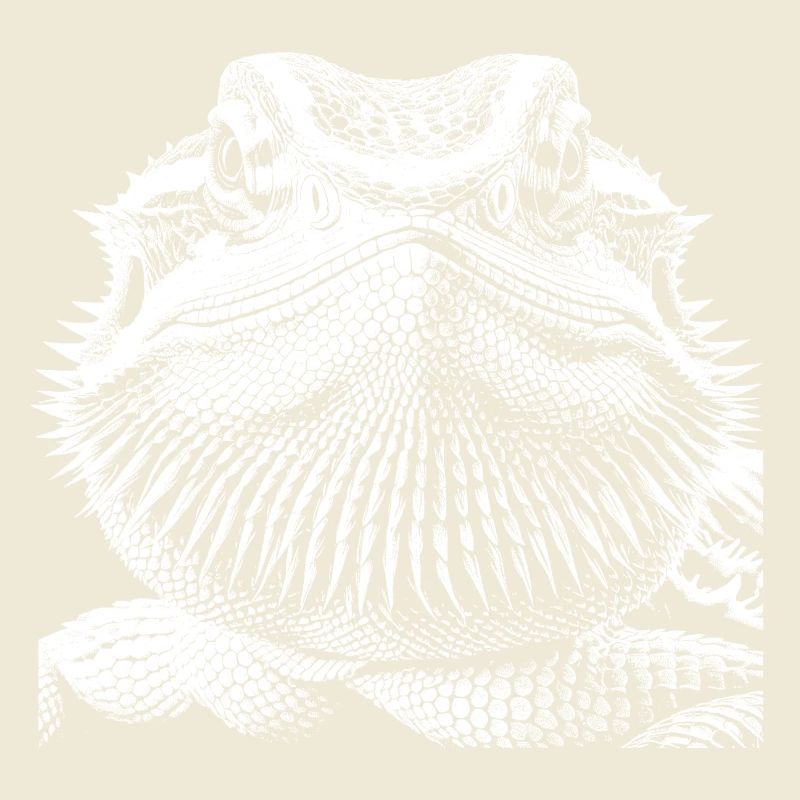 Bearded dragon