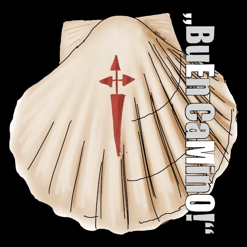 Scallop