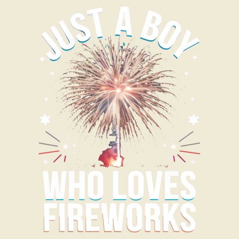 Pyrotechnics Fireworks Pyrotechnics