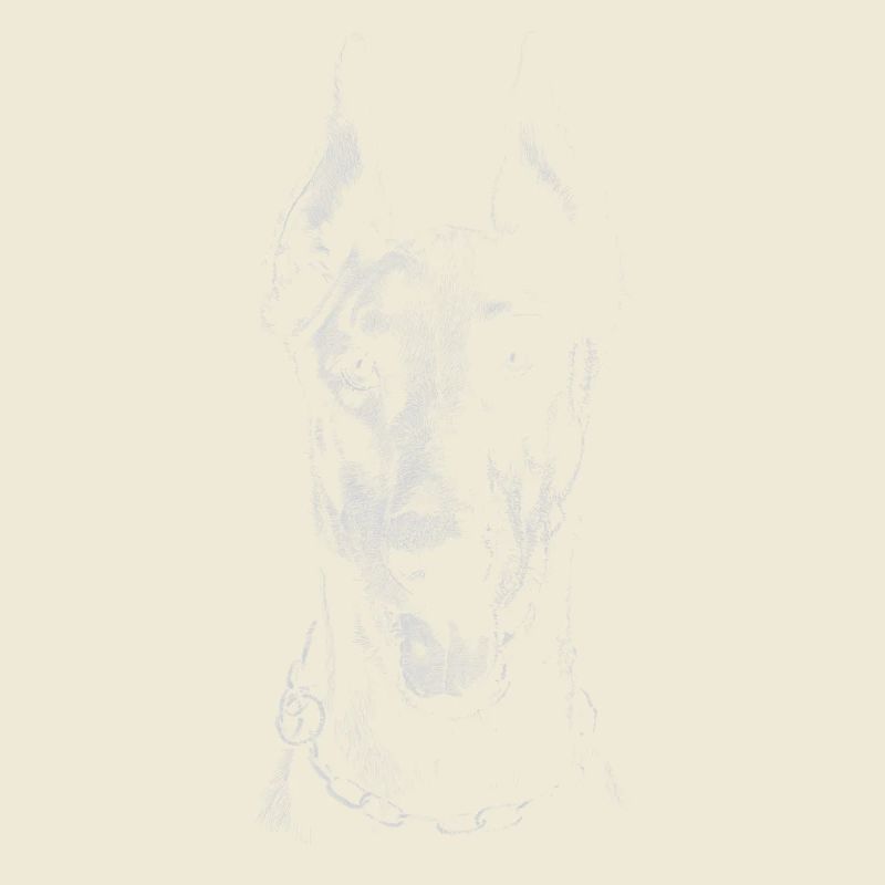 Doberman