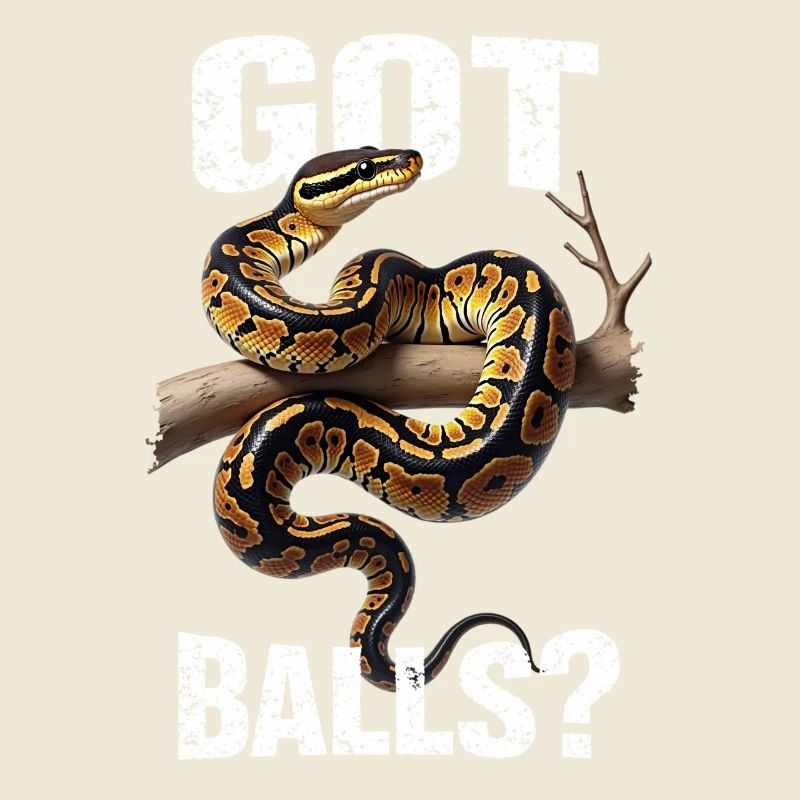 King Python Snakes Lover Terrarium Python