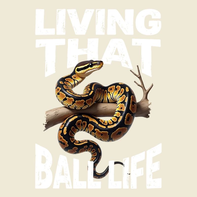 King Python Snakes Lover Terrarium Python