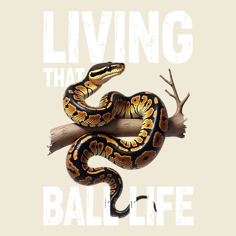 King Python Snakes Lover Terrarium Python