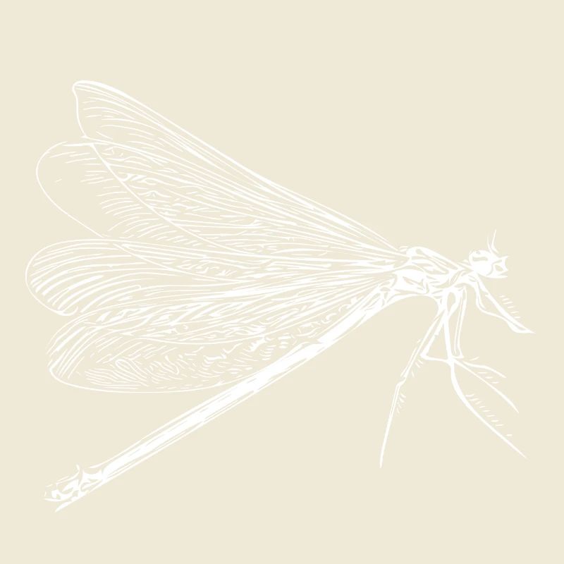 Vintage dragonfly