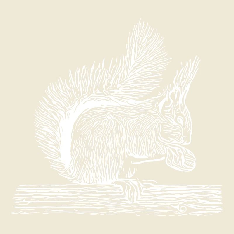 Süßes Eichhörnchen mit Nuss